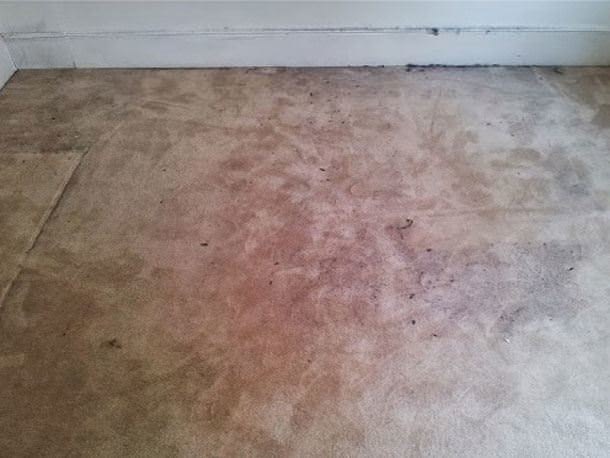 Before
